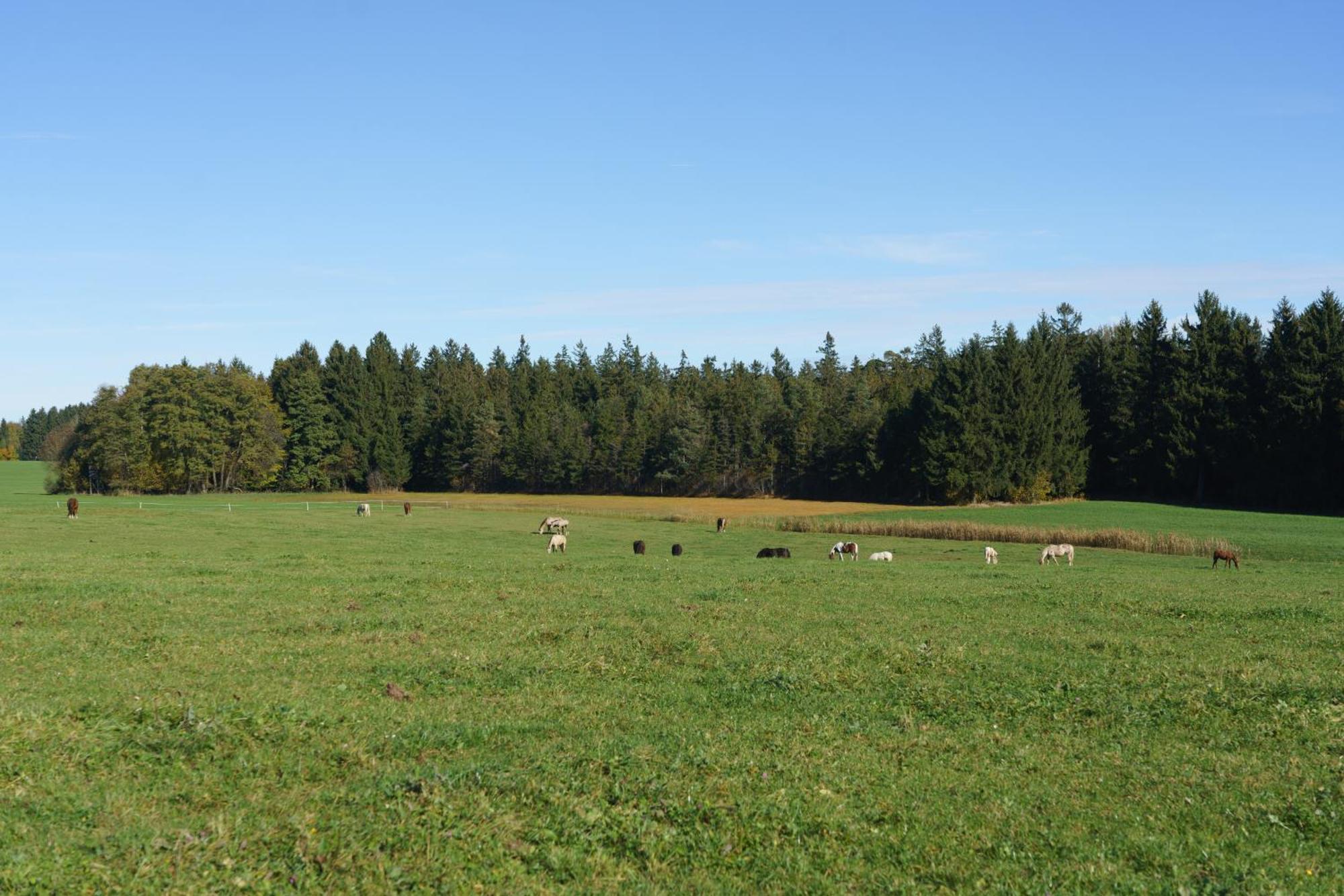Private Farmhouse Escape - Ideal For Up To 8 Guests Seeham Exteriér fotografie